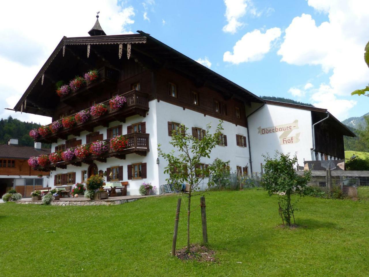 Oederbauer-Hof Villa Schneizlreuth Dış mekan fotoğraf